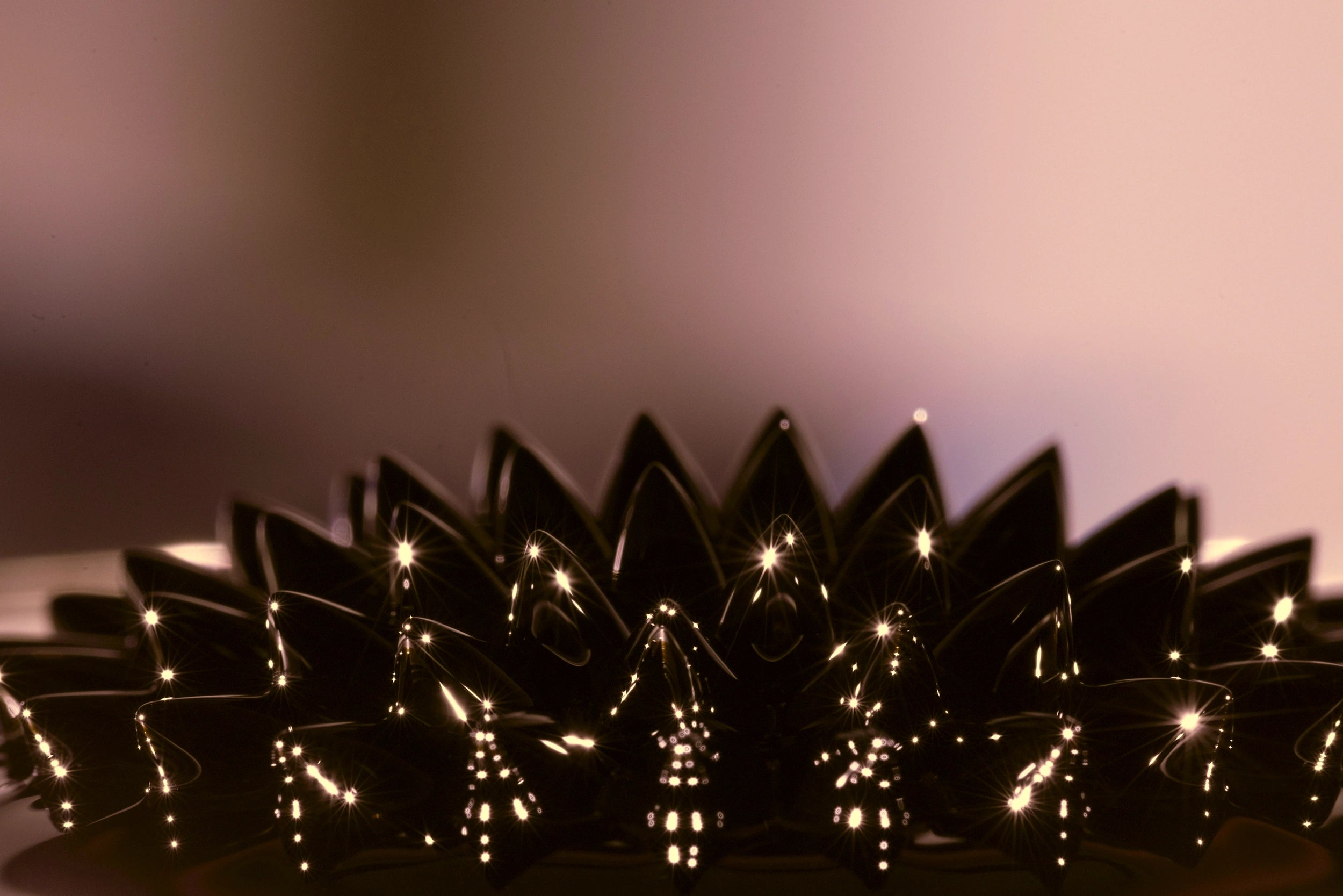 Close-up of a black crown with small lights on a blurred background